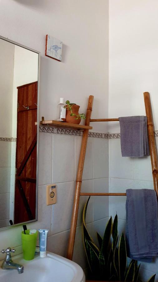Chacara Artistica Em Socorro-Sp Villa Socorro  Exterior photo
